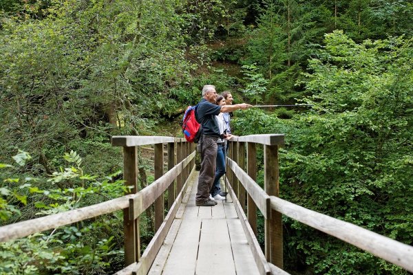 Wanderung zur Groppensteinschlucht