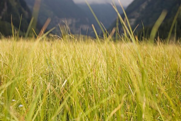 Herrliche Landschaften im Nationalpark Hohe Tauern